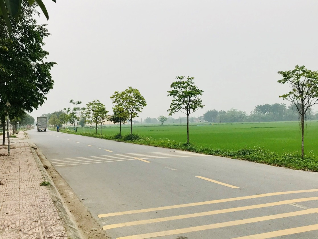 Hội Nông dân Bắc Ninh nhân rộng mô hình "Hàng cây nông dân"- Ảnh 2.