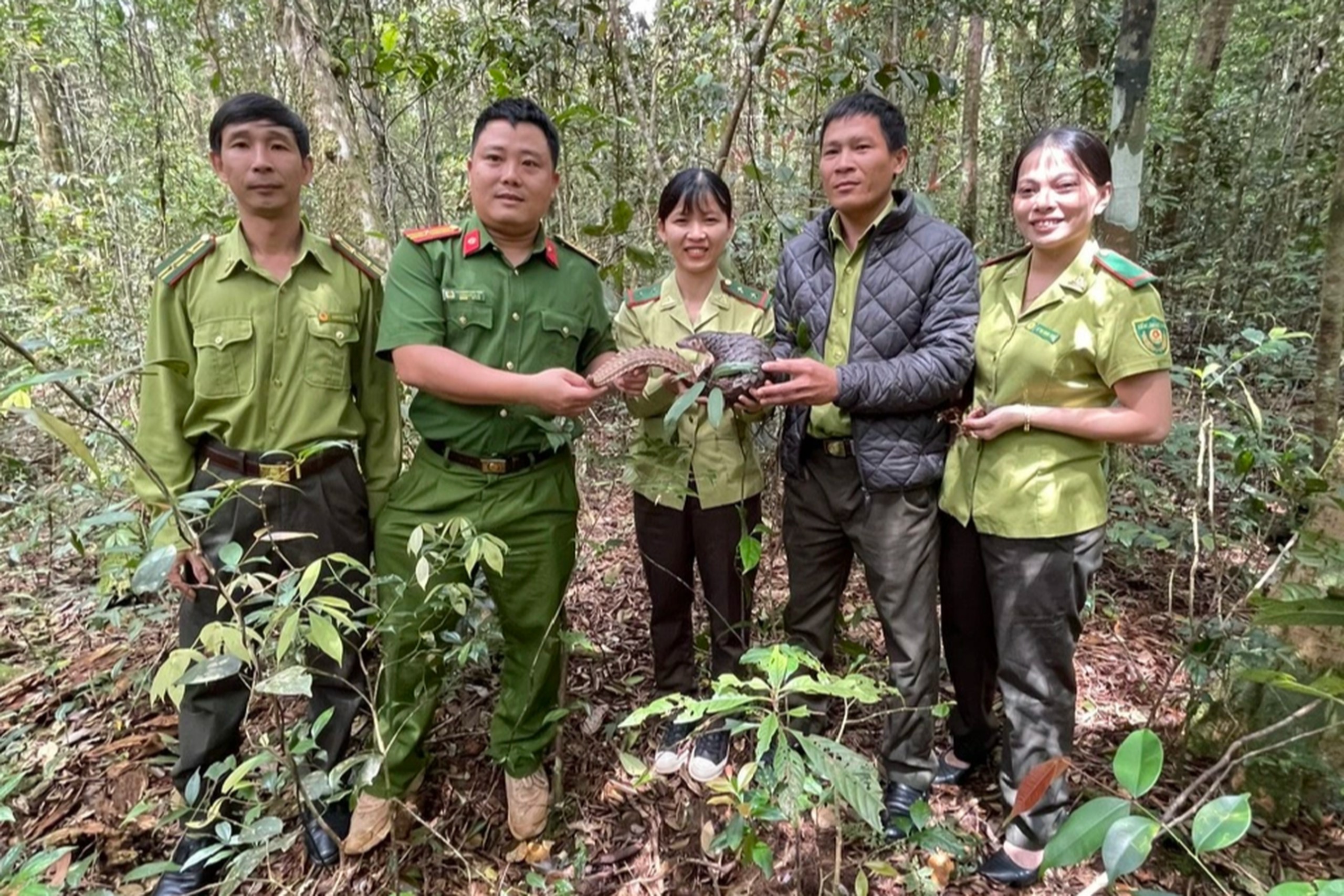 Đang đi chơi, 2 người Quảng Ngãi phát hiện một con động vật hoang dã có trong sách Đỏ bò qua đường- Ảnh 1.