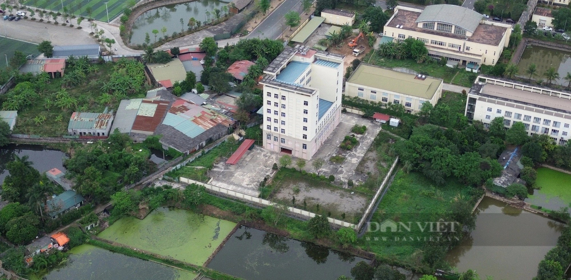 Ảnh ấn tượng tuần: Chấm dứt triều đại ông Troussier và hàng cây sao đen tuyệt đẹp trên phố Lò Đúc- Ảnh 10.