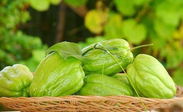 Loại quả nên ăn trong ngày lạnh để tăng cường chức năng gan và kiểm soát đường huyết- Ảnh 1. Loại quả nên ăn trong ngày lạnh để tăng cường chức năng gan và kiểm soát đường huyết- Ảnh 1.