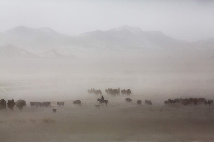 Cuộc sống du mục độc đáo của người Kazakhstan qua ảnh- Ảnh 13.