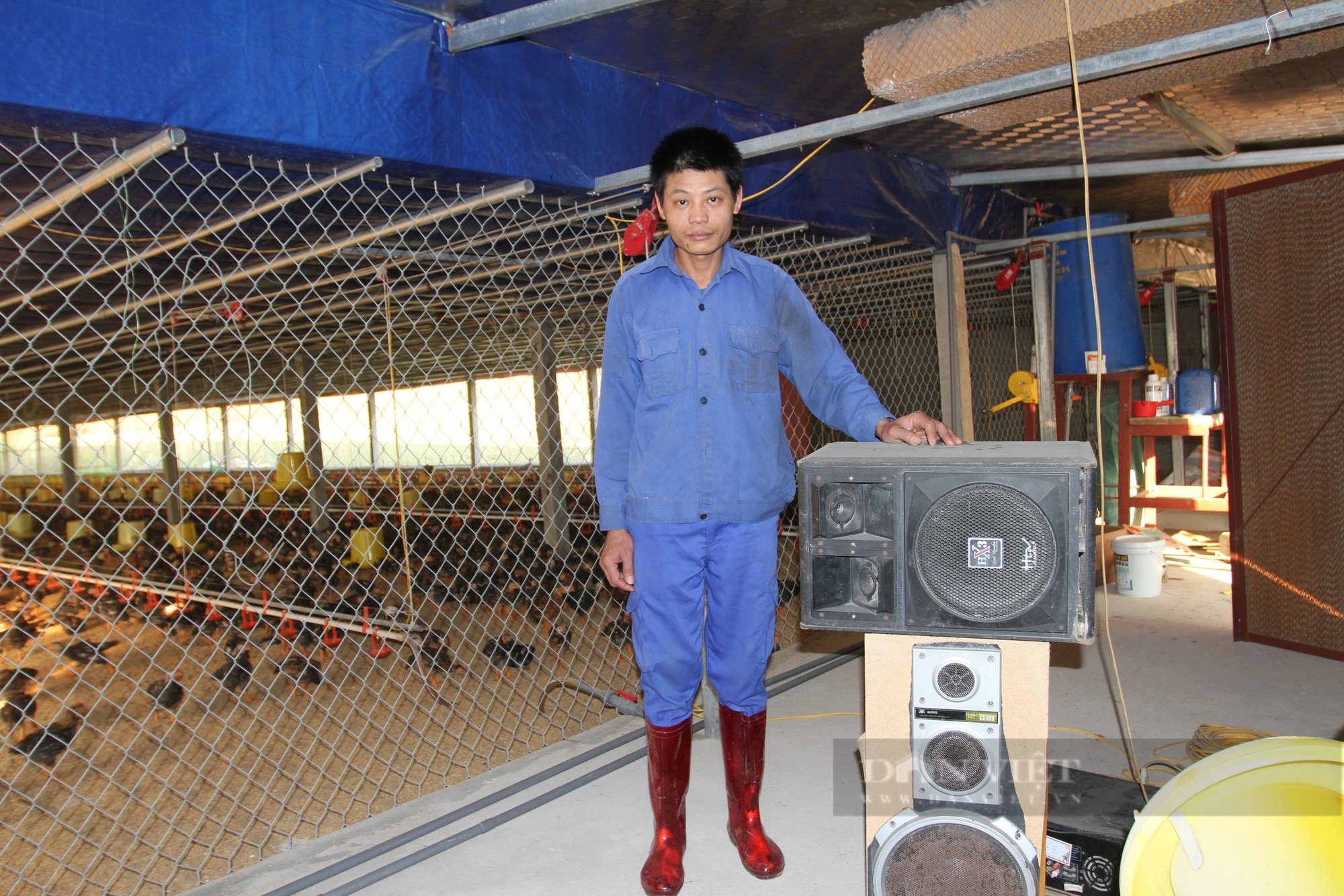 Kiểu nuôi gà của một nông dân Thái Nguyên lạ lắm, gà ăn ngon ngủ yên, khỏe thêm, nhanh lớn- Ảnh 6.