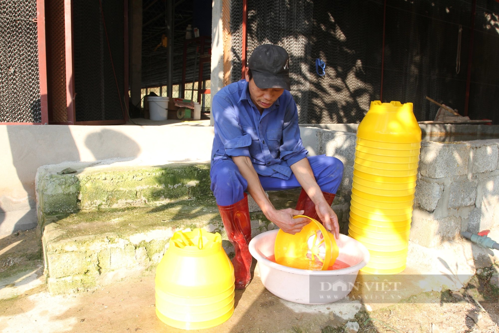 Kiểu nuôi gà của một nông dân Thái Nguyên lạ lắm, gà ăn ngon ngủ yên, khỏe thêm, nhanh lớn- Ảnh 5.