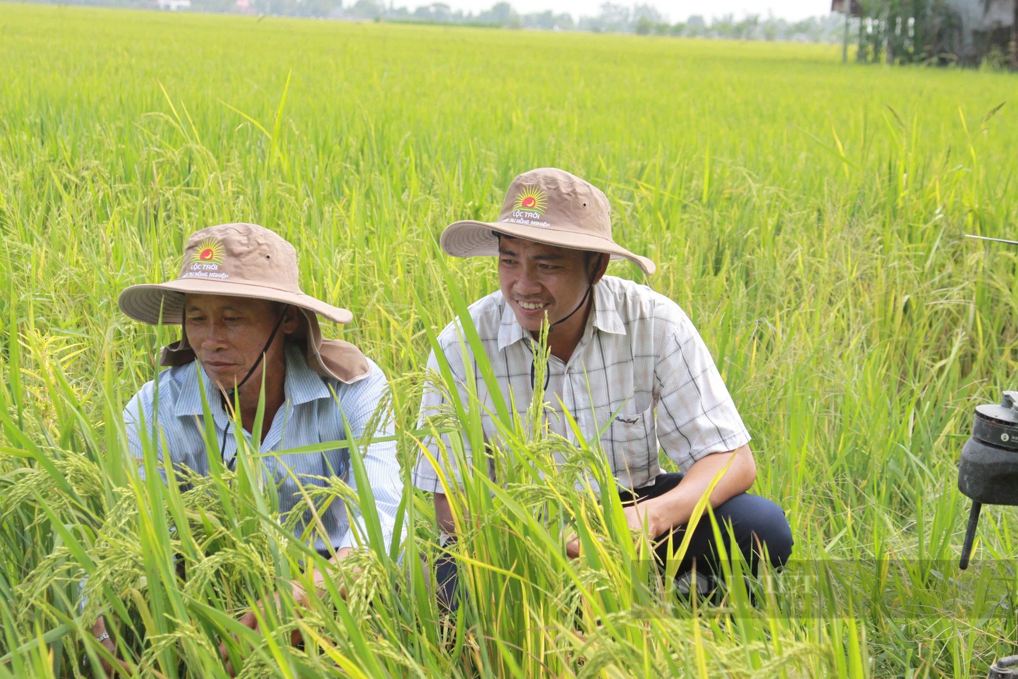 Nói về giá lúa thời gian qua, ông nông dân An Giang dùng một từ: "Êm"- Ảnh 1.