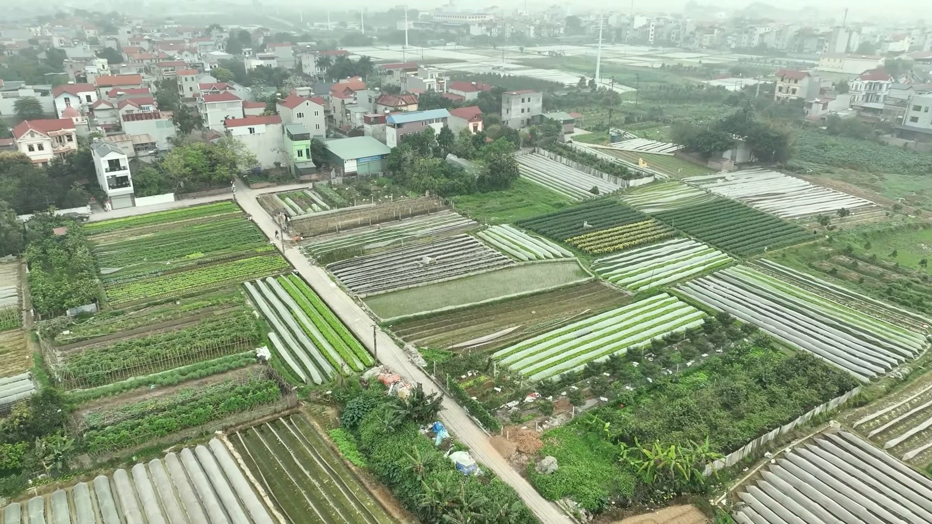 Luật Đất đai 2024 tháo gỡ khó khăn nào về quản lý, sử dụng đất nông nghiệp?- Ảnh 2.