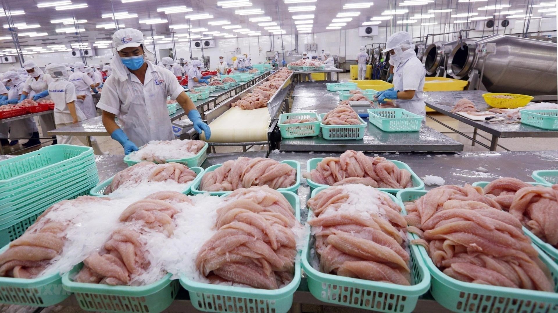 Việt Nam thặng dư gần 5 tỷ USD, 'bất ngờ' với số nhập siêu của doanh nghiệp trong nước- Ảnh 1. Việt Nam thặng dư gần 5 tỷ USD, 'bất ngờ' với số nhập siêu của doanh nghiệp trong nước- Ảnh 1.
