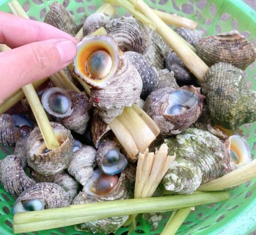 Những loại ốc hấp dẫn với tên gọi lạ lẫm nhưng cực kì thơm ngon- Ảnh 8.
