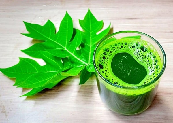Không ngờ nước chiết xuất từ lá này lại có nhiều tác dụng chữa bệnh đến vậy, ai cũng có thể áp dụng- Ảnh 6.