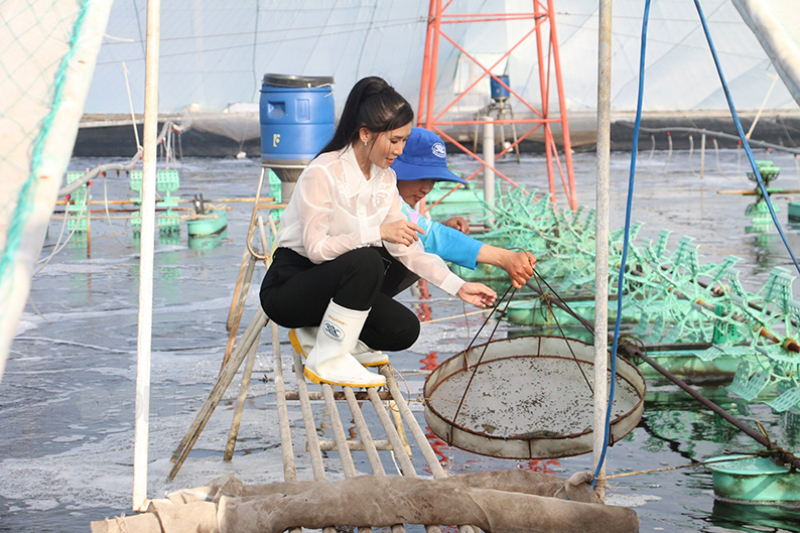 Một nông dân Bến Tre nuôi tôm kiểu gì mà bắt bán 900 tấn, lời tới 40 tỷ đồng?- Ảnh 4.