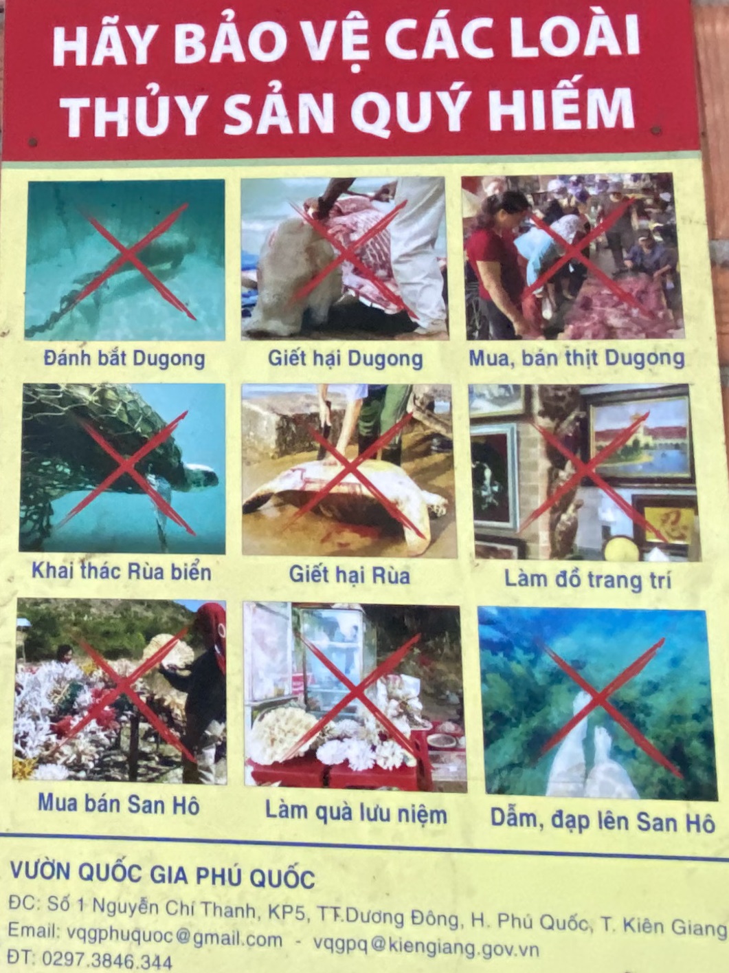Xẻ thịt “nàng tiên cá”, mổ bụng moi trứng rùa biển (Bài cuối): Chiến dịch truy quét “rùa tặc” và “trứng tặc” - Ảnh 20.