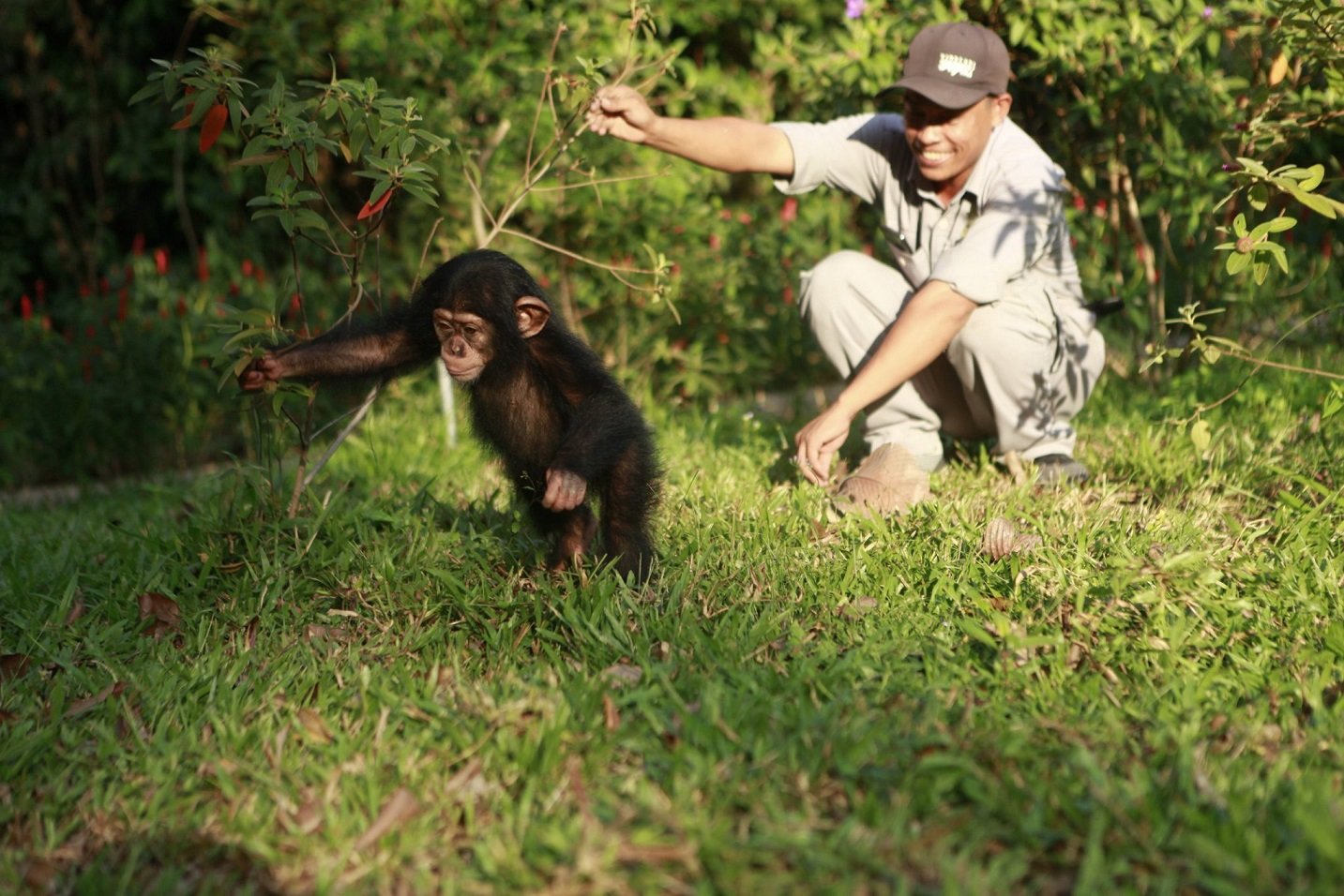 Diệu kỳ hành trình khôn lớn của “hot kid” bé Mây tại Vinpearl Safari Phú Quốc- Ảnh 4.