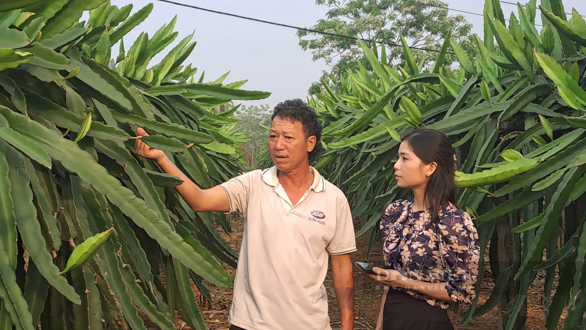 Trồng loại quả ngon, nuôi con đặc sản, một ông nông dân Thái Nguyên tự trả lương cao từ vườn-ao-chuồng- Ảnh 2.