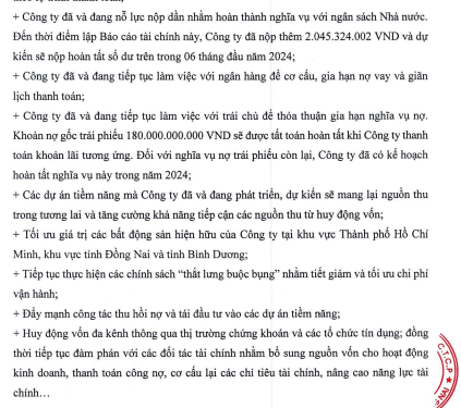 Bị kiểm toán nghi ngờ về khả năng hoạt động liên tục, Đầu tư LDG nói gì?- Ảnh 1.