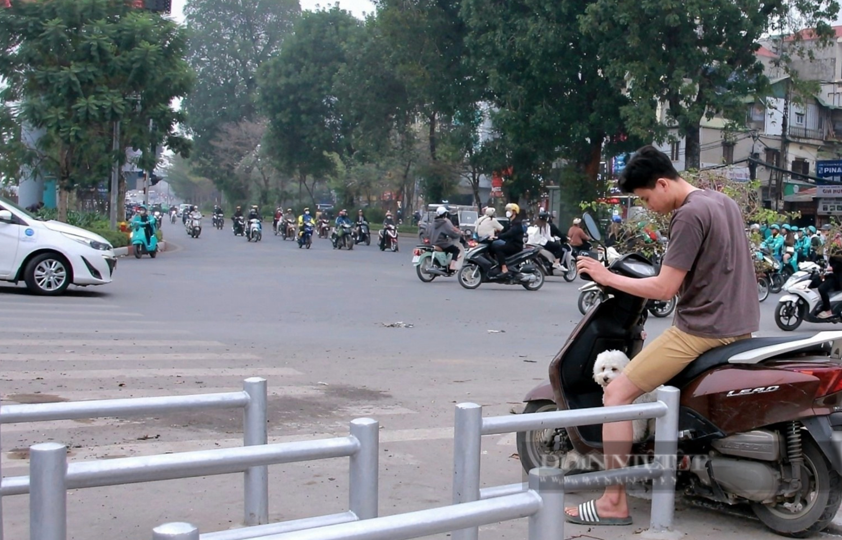 Rào chắn được thay thế, đường dành riêng cho xe đạp vẫn vắng hoe- Ảnh 6.