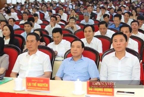 Thanh Hóa có số lượng xã đạt chuẩn nông thôn mới thuộc tốp đầu cả nước- Ảnh 1.