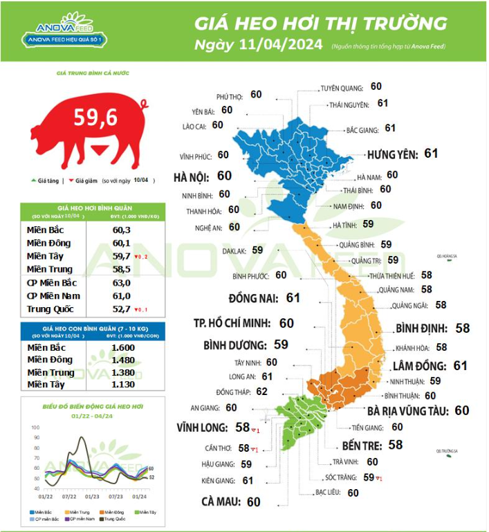 Thị trường miền Bắc - Trung - Đông giữ giá lợn hơi tốt nhất- Ảnh 1.