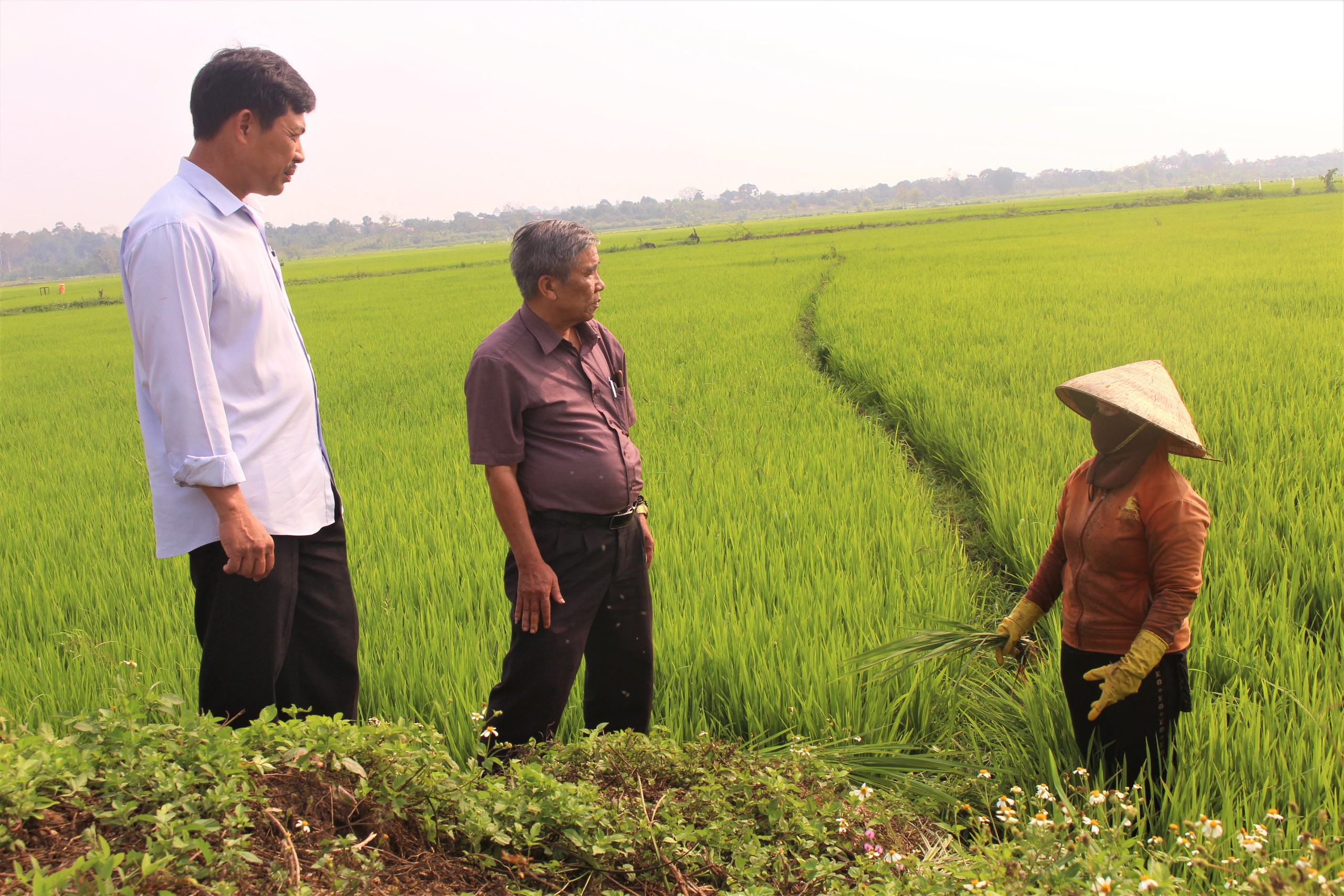 Gọi là chủ động ứng phó với khô hạn, vậy nông dân Đắk Lắk lấy nước ở đâu để tưới cây trồng?- Ảnh 10.