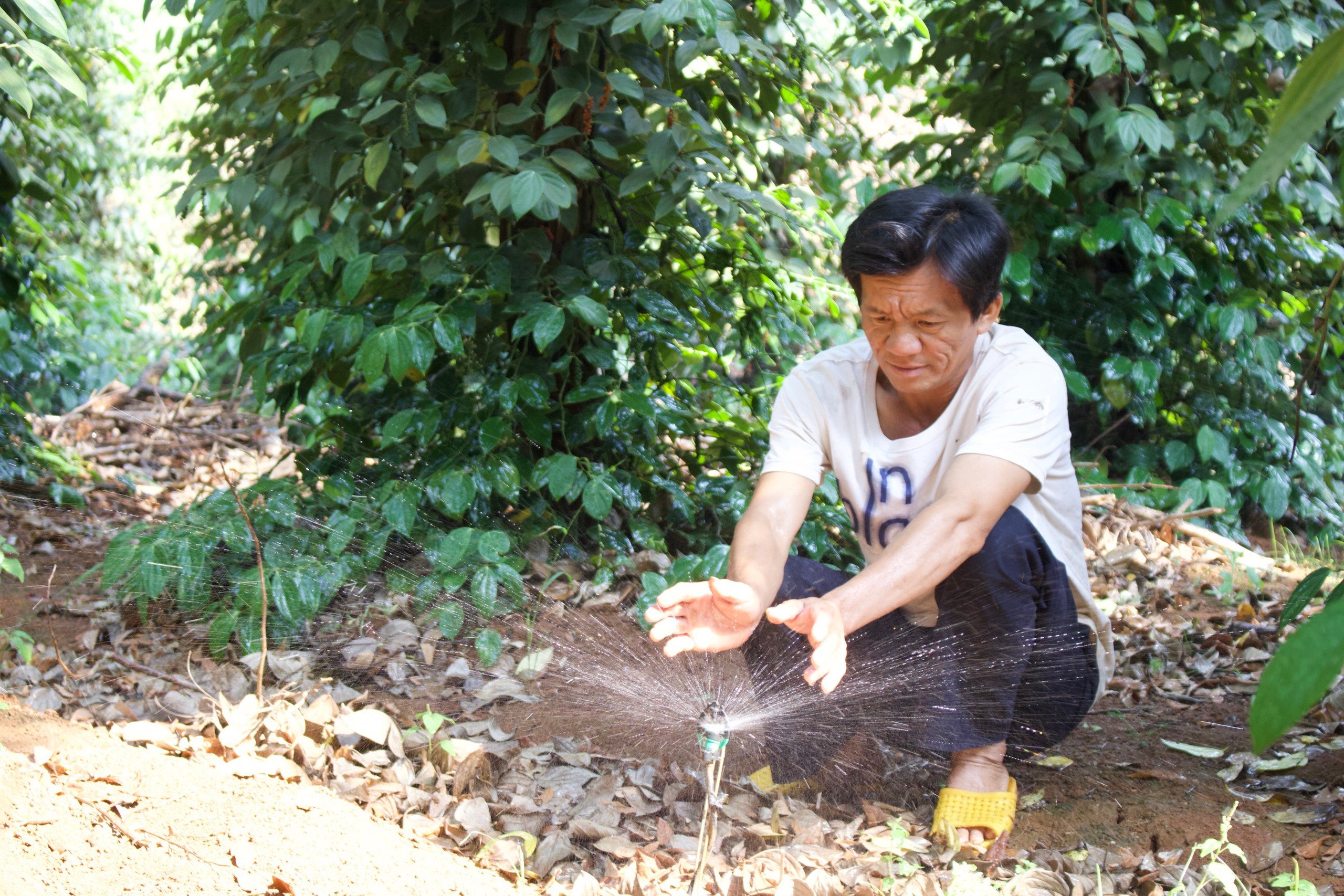 Gọi là chủ động ứng phó với khô hạn, vậy nông dân Đắk Lắk lấy nước ở đâu để tưới cây trồng?- Ảnh 5.