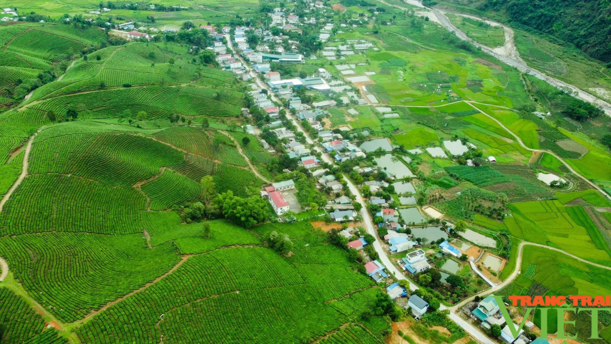 Lai Châu: Ấn tượng lễ khai mạc Lễ hội Trà và Tuần Văn hóa Du lịch huyện Tân Uyên- Ảnh 4.