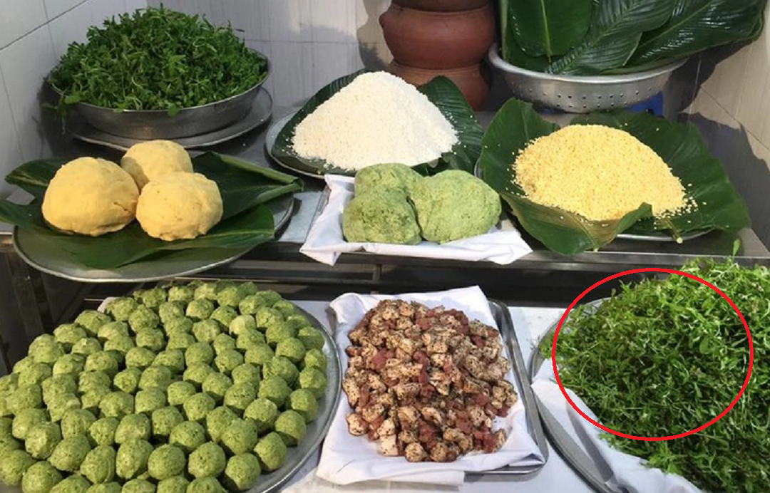 Loại rau dại xưa hay cho lợn ăn, nay thành đặc sản "lạ" 500.000 đồng/kg- Ảnh 3. Loại rau dại xưa hay cho lợn ăn, nay thành đặc sản "lạ" 500.000 đồng/kg- Ảnh 3.