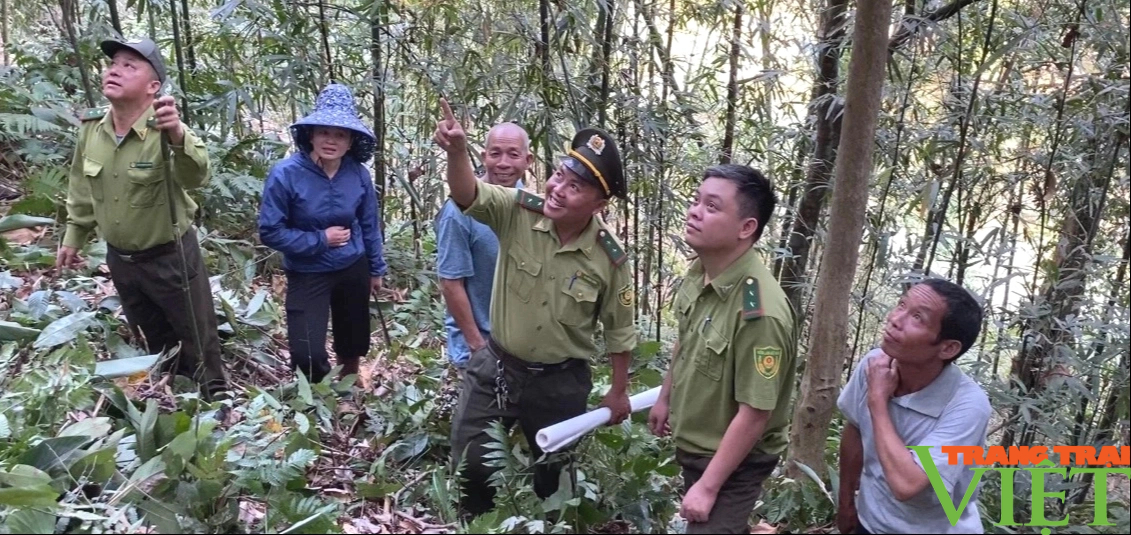 Sơn La: Hạt Kiểm Lâm huyện Quỳnh Nhai làm tốt công tác PCCCR- Ảnh 1.