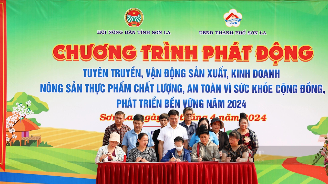 Nông dân Sơn La sản xuất, kinh doanh nông sản chất lượng, an toàn vì sức khỏe cộng đồng- Ảnh 3.