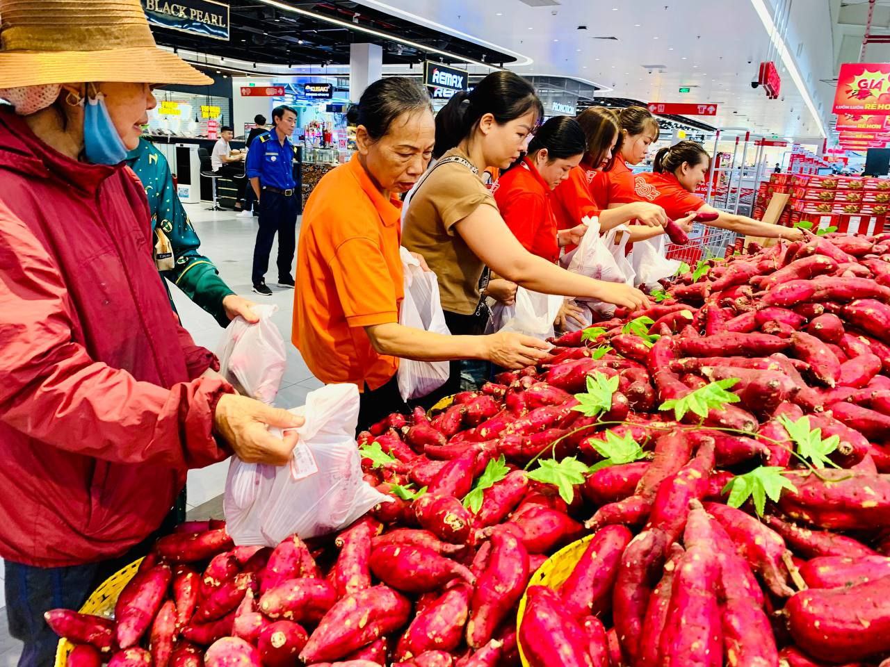 Siêu thị bán khoai lang Nhật không lợi nhuận để hỗ trợ đầu ra cho nông dân- Ảnh 1.