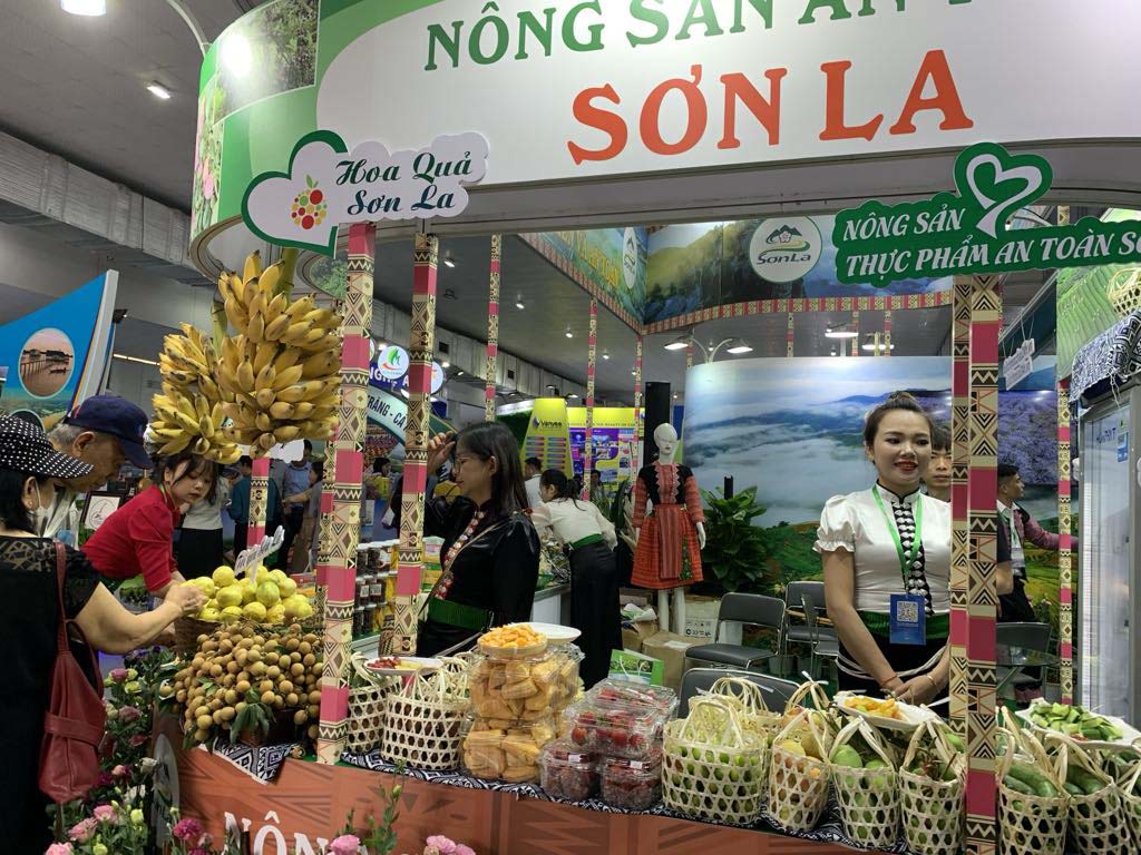 Doanh nghiệp “bội thu” thu hàng chục tỷ đồng trong 4 ngày VITM Hà Nội 2024- Ảnh 5.