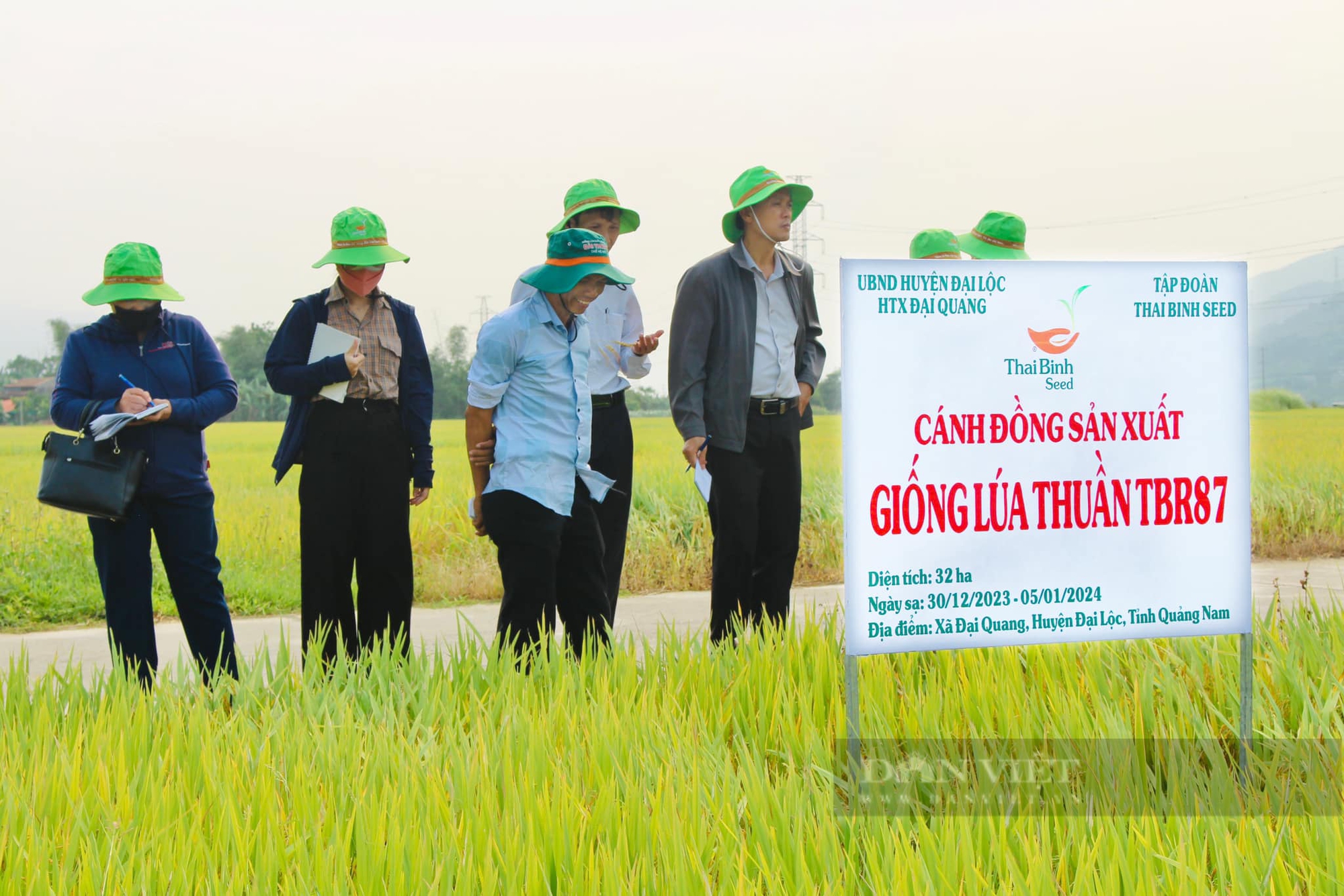Bộ giống sản phẩm bản quyền của ThaiBinh Seed “được lòng” nông dân Quảng Nam- Ảnh 5.