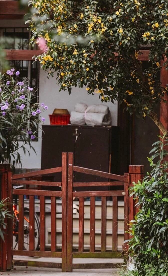 Nhà giàu thích trồng 5 cây cảnh phong thủy có hương hoa cực phẩm, giúp thu hút may mắn, tài lộc- Ảnh 2.