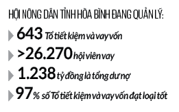 Hội Nông dân tỉnh Hoà Bình làm "cầu nối” giúp nông dân vay vốn Ngân hàng CSXH phát triển kinh tế- Ảnh 2.