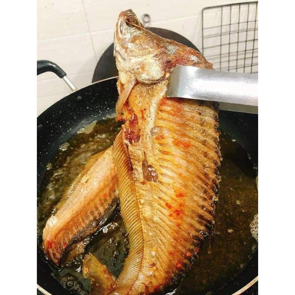 Cùng họ cá rồng nhưng số phận hẩm hiu, chỉ để lợn ăn; dân quê dùng 1 chiêu, người thành phố 'phát cuồng'- Ảnh 8. Cùng họ cá rồng nhưng số phận hẩm hiu, chỉ để lợn ăn; dân quê dùng 1 chiêu, người thành phố 'phát cuồng'- Ảnh 8.