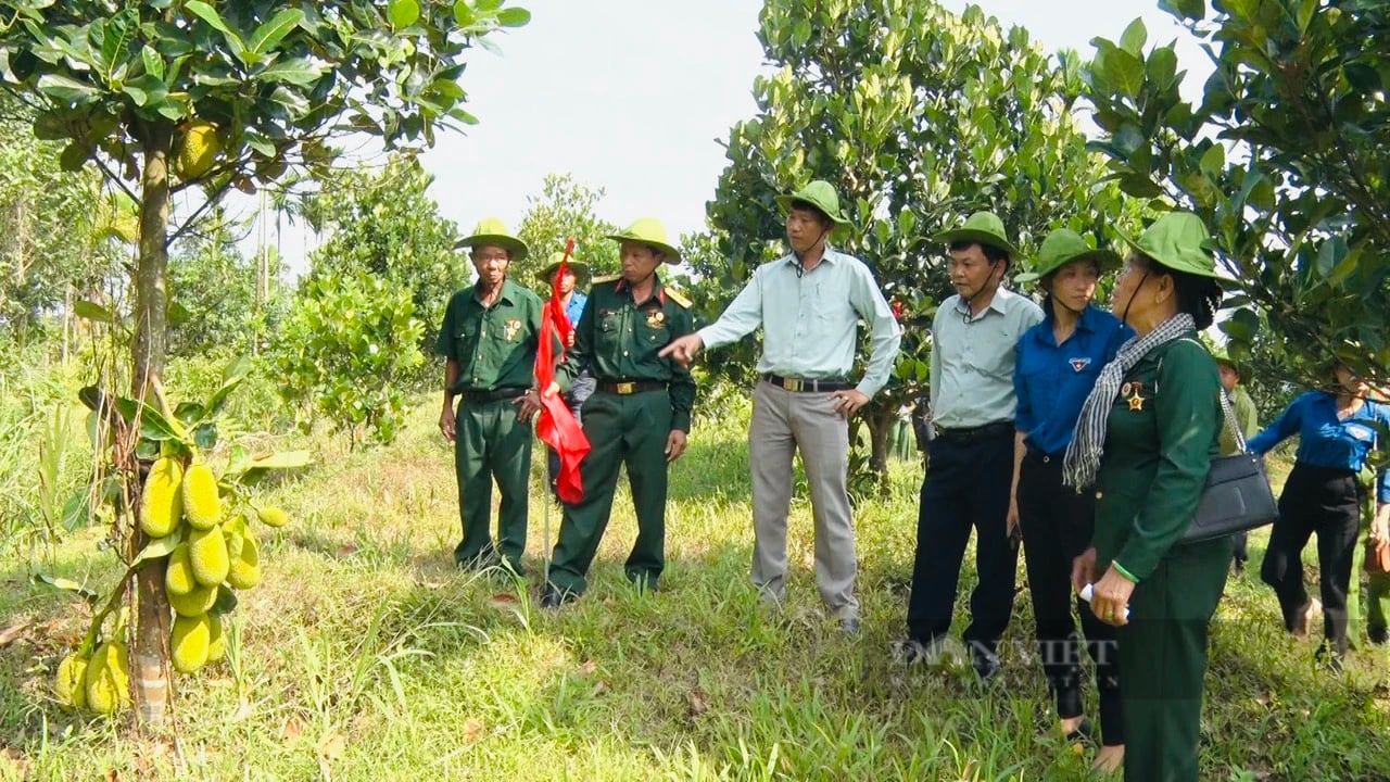 Nông thôn mới Quảng Nam: Huyện Bắc Trà My chọn tiêu chí thu nhập của người dân làm trọng tâm- Ảnh 2.