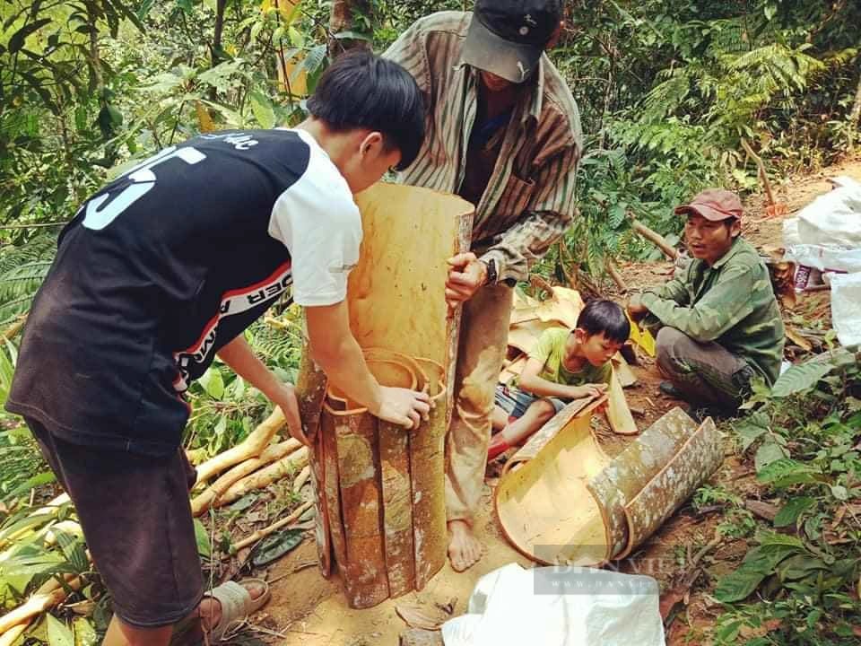 Nông thôn mới Quảng Nam: Huyện Bắc Trà My chọn tiêu chí thu nhập của người dân làm trọng tâm- Ảnh 5.