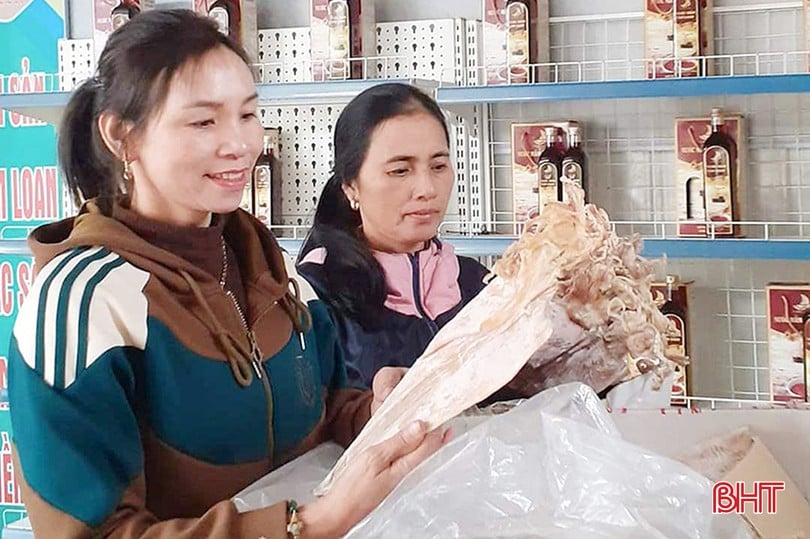 Tiếng lành đồn xa, đi cả trăm km đến Hà Tĩnh để thưởng thức loại hải sản mà hiếm nơi nào có được- Ảnh 3.