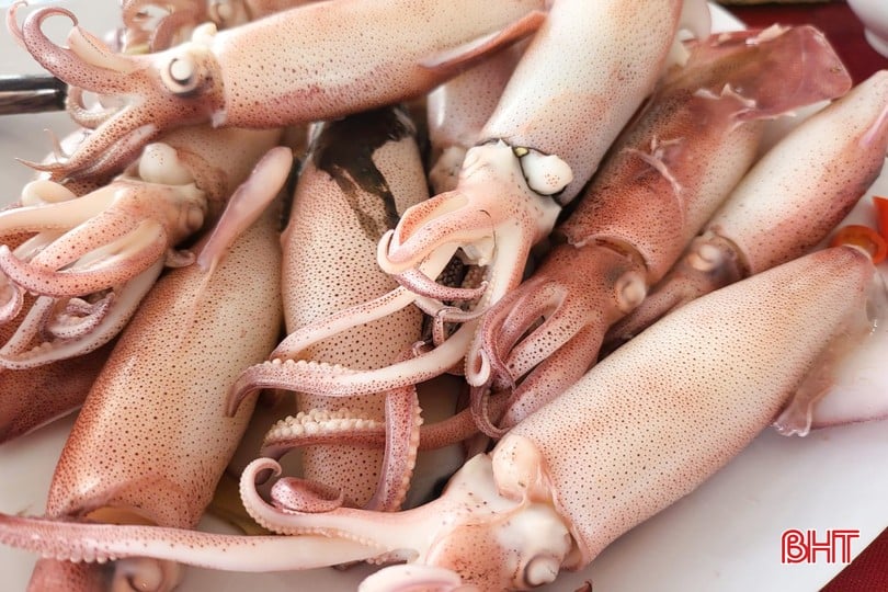 Tiếng lành đồn xa, đi cả trăm km đến Hà Tĩnh để thưởng thức loại hải sản mà hiếm nơi nào có được- Ảnh 5.