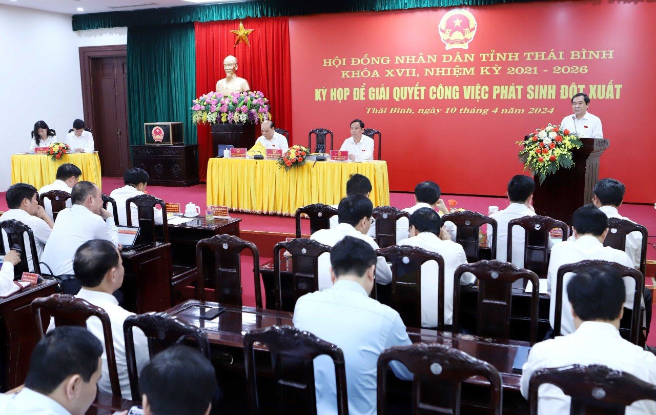 HĐND tỉnh Thái Bình bãi nhiệm chức danh Hội thẩm nhân dân tỉnh với 1 nữ cán bộ- Ảnh 1.