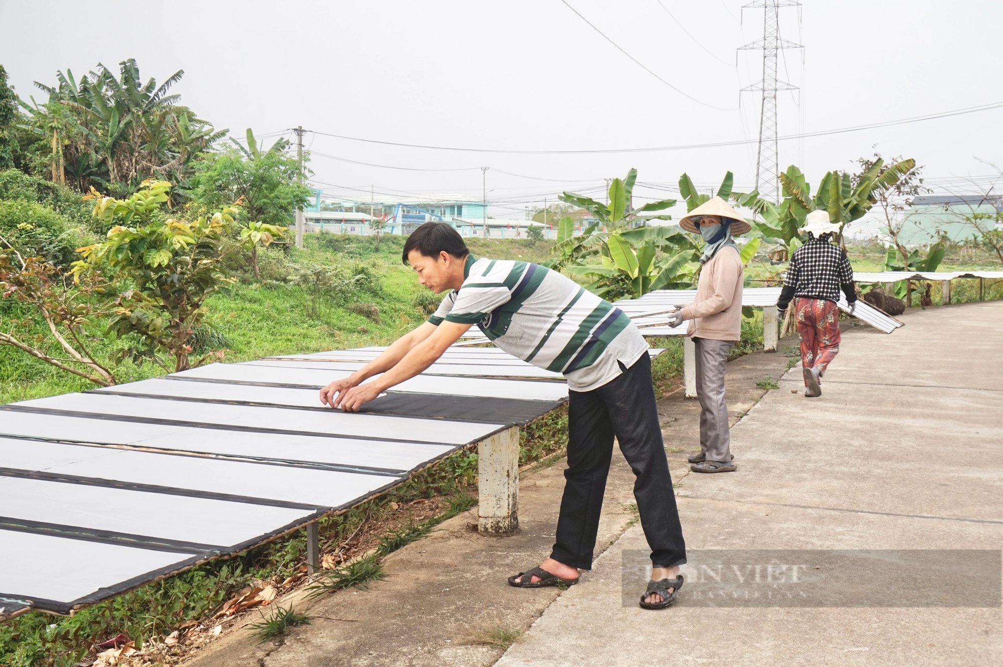 Đà Nẵng: Một kỹ sư cầu đường bỏ nghề về quê “đổi đời” nhờ nối nghề cha truyền- Ảnh 4.