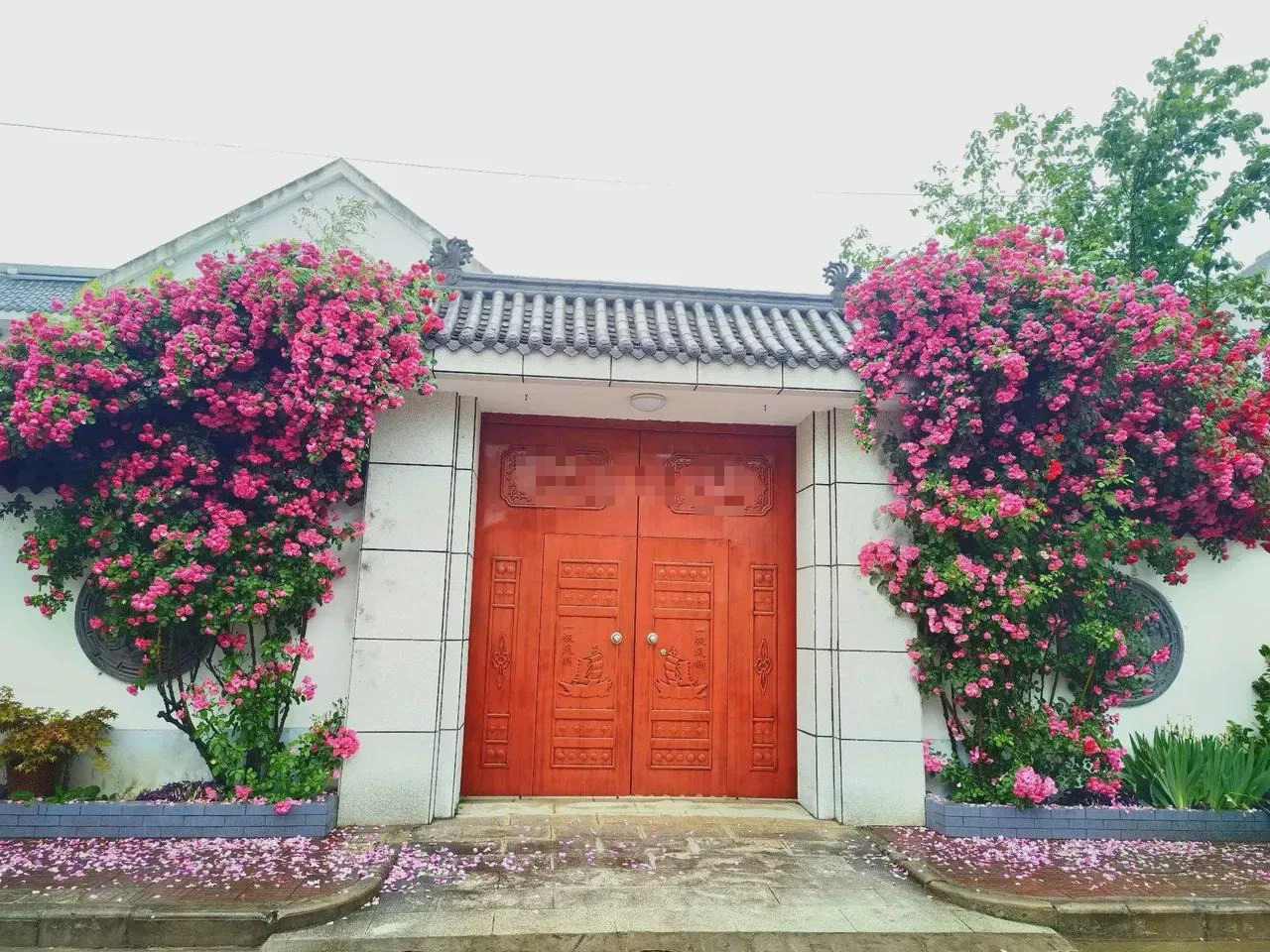 Thắp sáng sân nhà bằng cây cảnh lãng mạn nhất thế giới, gia đình thịnh vượng, Thần Tài ghé thăm- Ảnh 13.