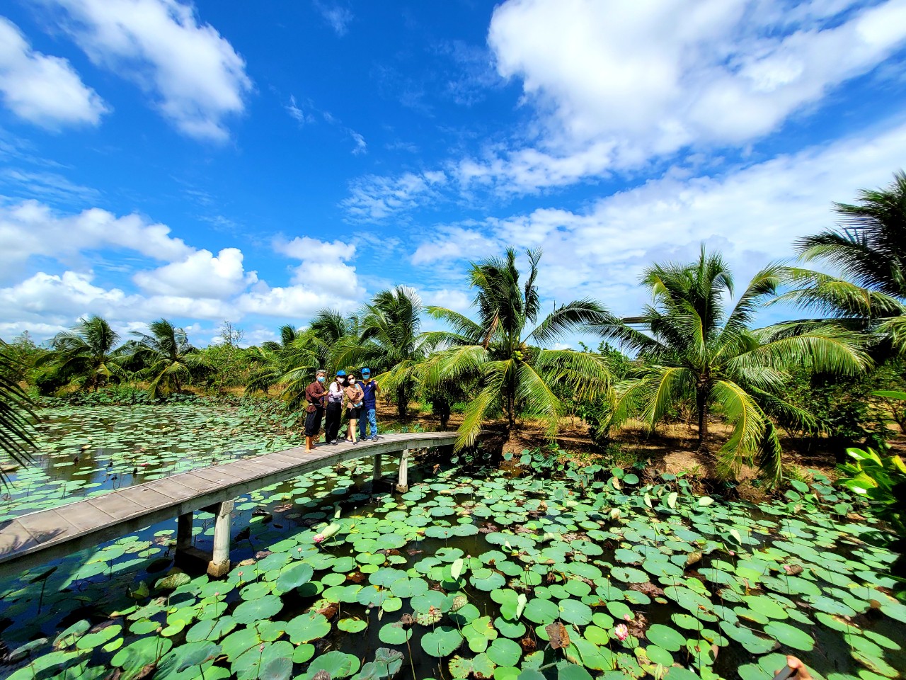 Bến Tre và Saigontourist ký kết hợp tác, thúc đẩy phát triển du lịch- Ảnh 2.