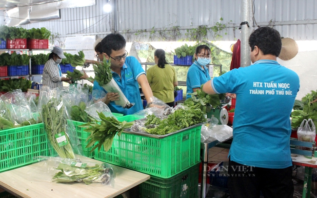 Tăng cường truy xuất nguồn gốc để ngăn chặn hành vi sản xuất hàng giả - Ảnh 1.