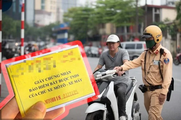 Bảo hiểm trách nhiệm dân sự của chủ xe cơ giới: Số tiền bồi thường có thể gấp tới 2.727 lần phí bảo hiểm- Ảnh 2.
