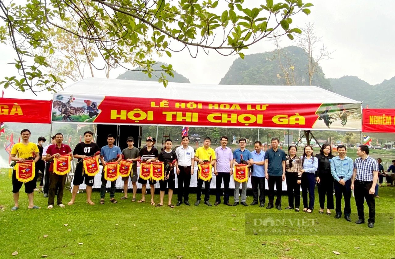 Hấp dẫn Hội thi chọi gà do Hội Nông dân Ninh Bình tổ chức tại Lễ hội Hoa Lư- Ảnh 1.
