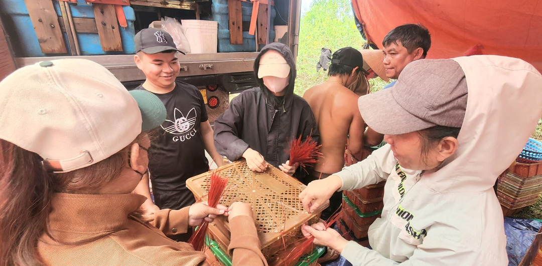 Nuôi "con vật hiền lành", anh nông dân thu lãi đều tay 2 tỷ đồng/năm- Ảnh 2. Nuôi "con vật hiền lành", anh nông dân thu lãi đều tay 2 tỷ đồng/năm- Ảnh 2.