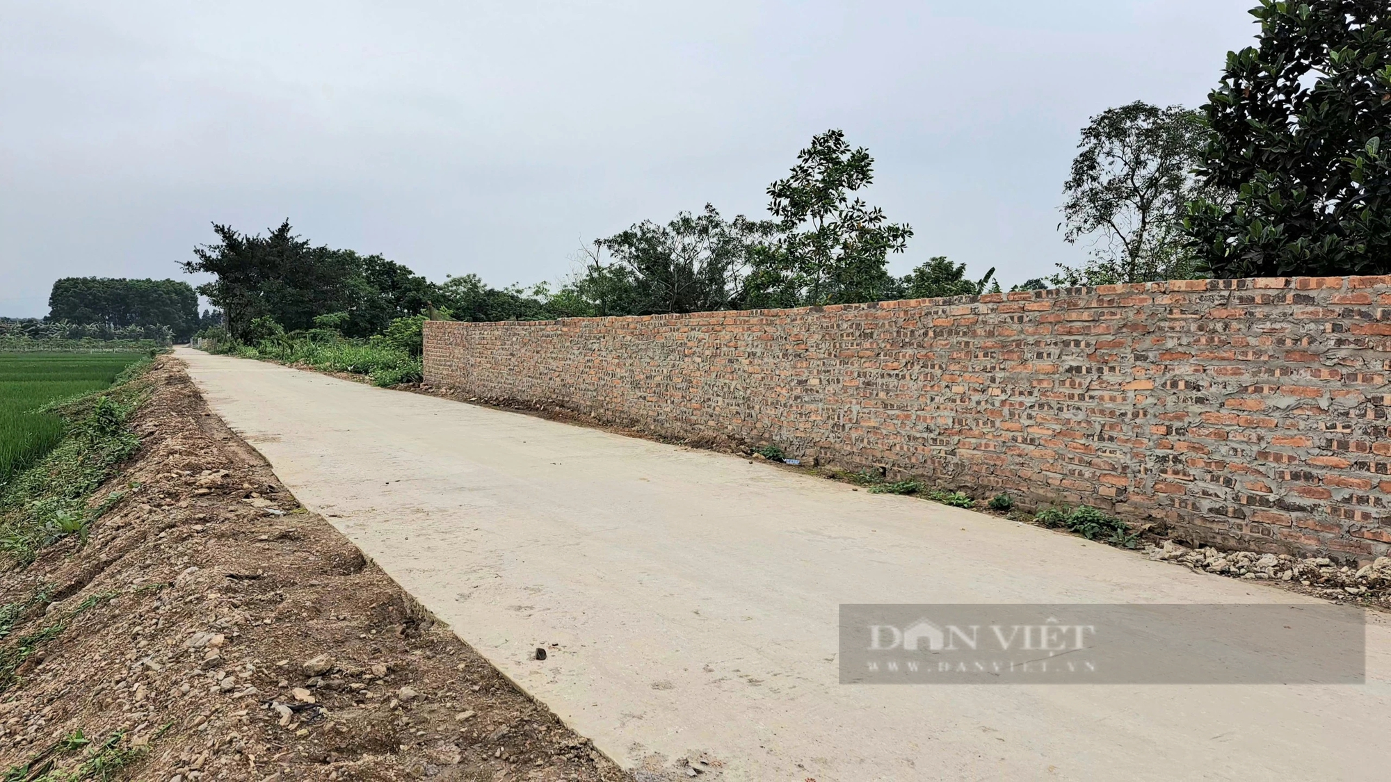 Đường bê tông không đúng thiết kế ở Lương Sơn (Hòa Bình): Bí thư Huyện ủy Lương Sơn chỉ đạo "nóng"- Ảnh 3.