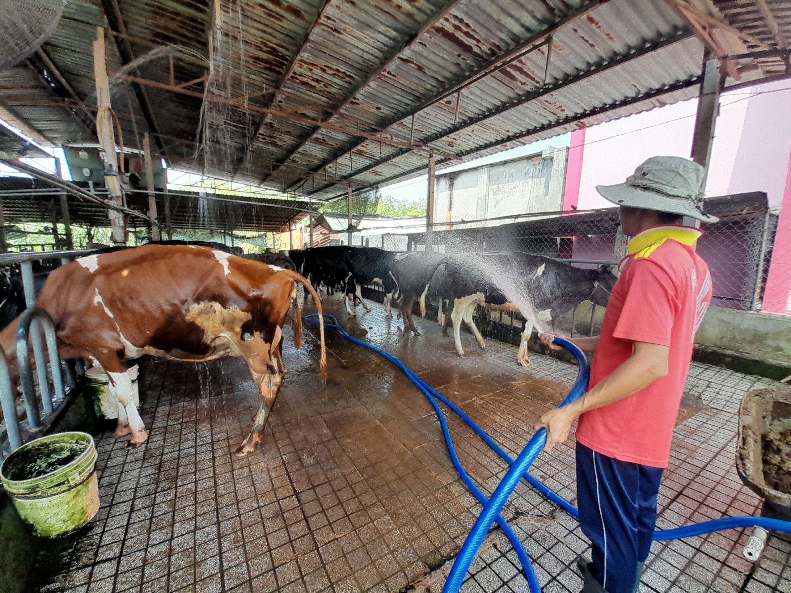 Huyện Hóc Môn đặt mục tiêu hết năm nay có 7 xã đạt chuẩn nông thôn mới nâng cao- Ảnh 1.