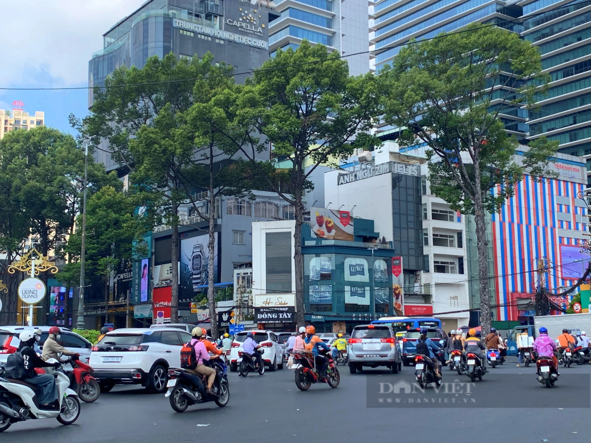Ngắm hơn 400 cây xanh sắp bị "trảm" để làm Metro số 2- Ảnh 1.