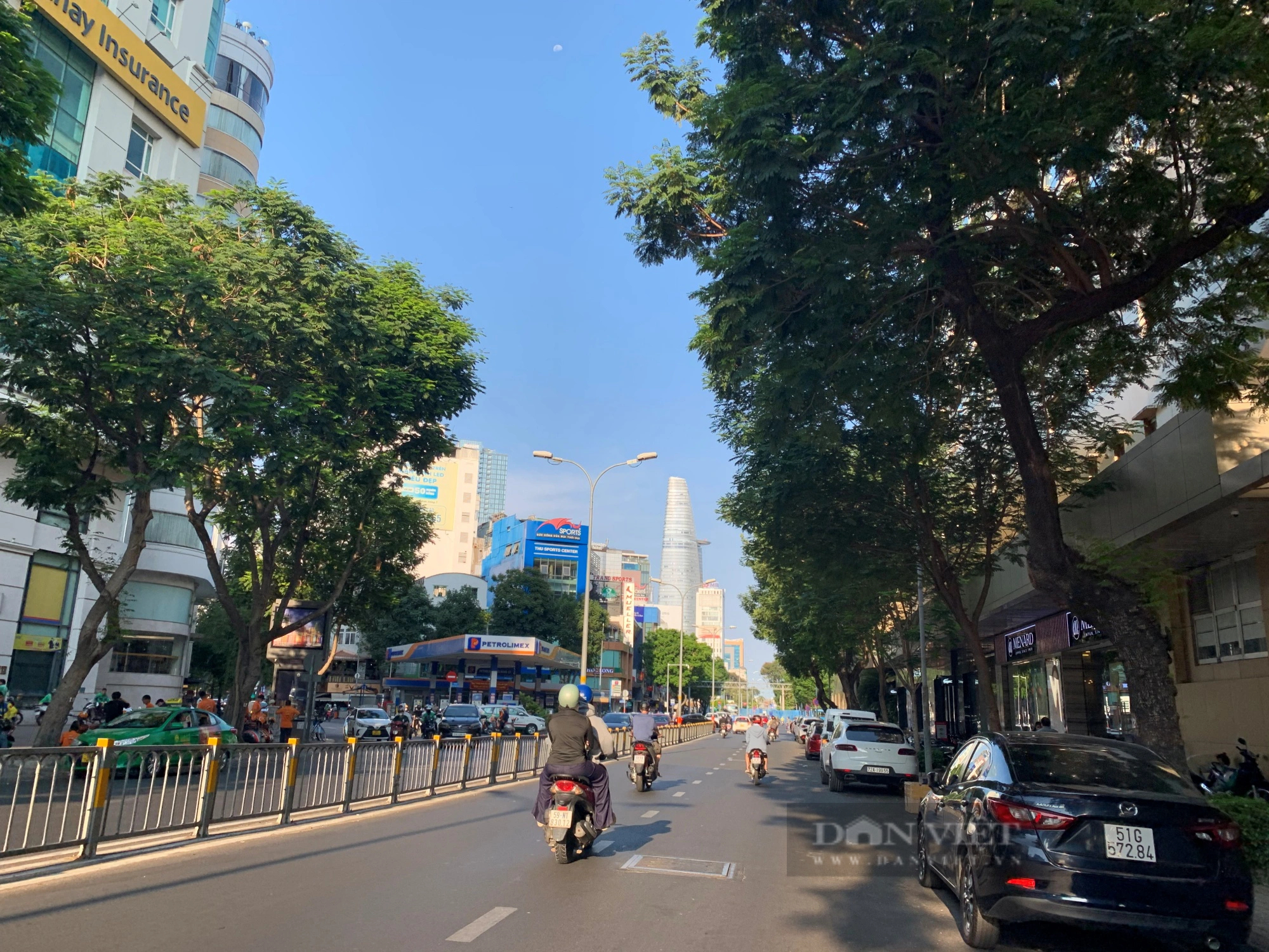 Ngắm hơn 400 cây xanh sắp bị "trảm" để làm Metro số 2- Ảnh 3.