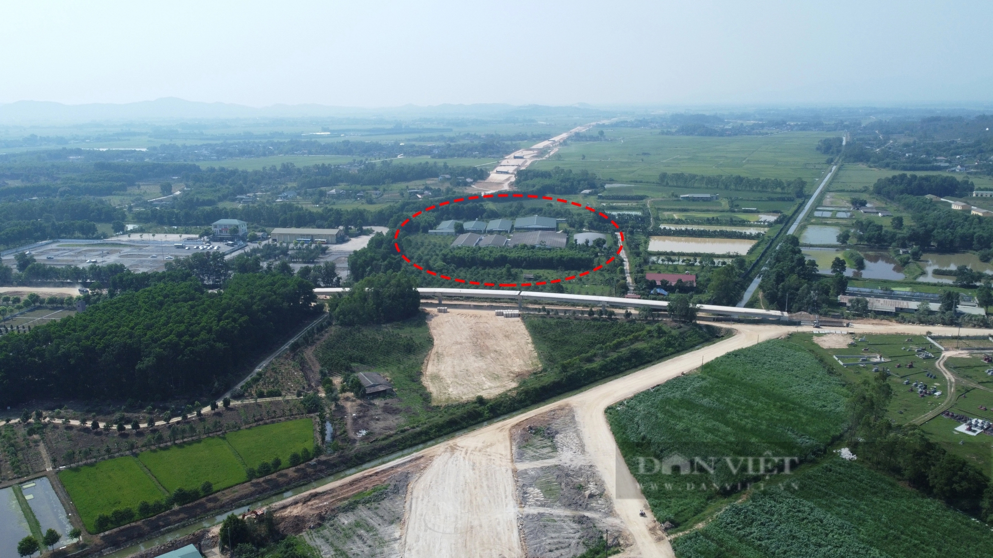 Cận cảnh trang trại lợn chắn ngang, ách tắc đại dự án cao tốc Bắc - Nam- Ảnh 1.