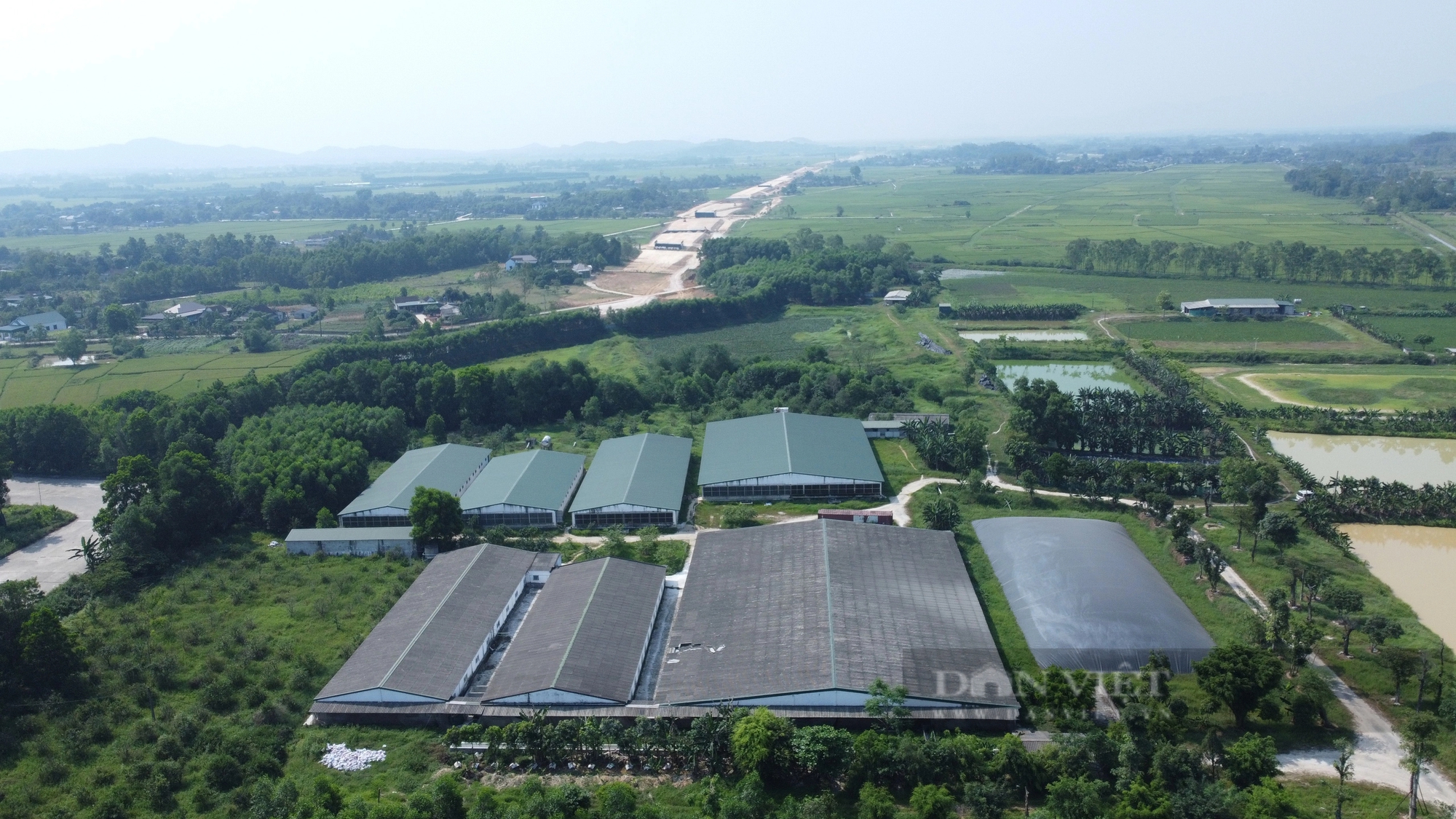 Cận cảnh trang trại lợn chắn ngang, ách tắc đại dự án cao tốc Bắc - Nam- Ảnh 2.